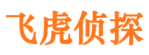 子洲出轨调查